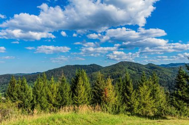 summer mountain scenery of the carpathians in a beautiful sunny day