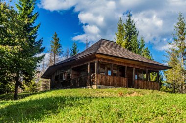 Ormandaki ahşap kulübe