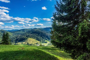 summer landscape on the mountain range