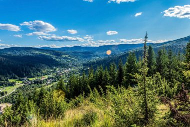 beautiful landscape of mountains in the carpathian forest, ukraine
