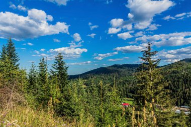 mountain landscape in the carpathian mountains. summer sunny day.