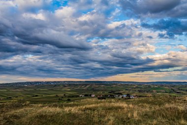 Buğday tarlası ve mavi gökyüzü olan güzel bir manzara.
