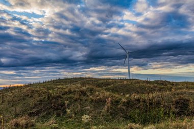 Tarlada rüzgar türbinleri