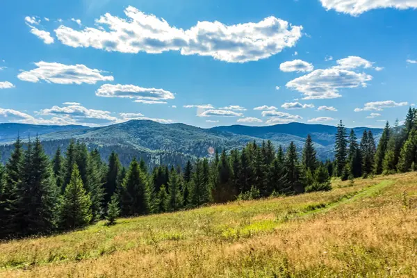 mountain range. summer landscape.