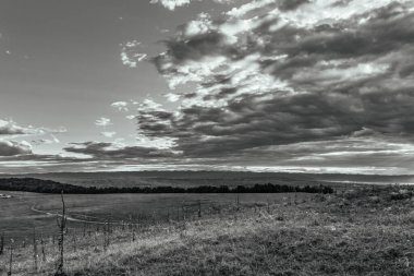 Bulutlarla dolu bir tarlası ve bulutlu gökyüzü olan güzel bir manzara.