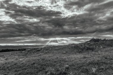 Ağaçlı ve bulutlu güzel bir manzara.