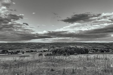 a beautiful landscape with a tree and a cloudy sky in the background