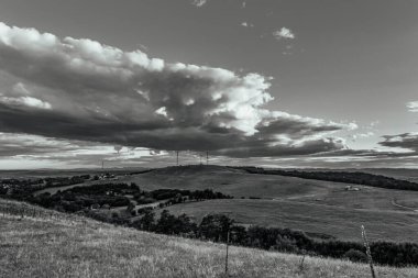 black and white clouds in a field of the grass and a tree