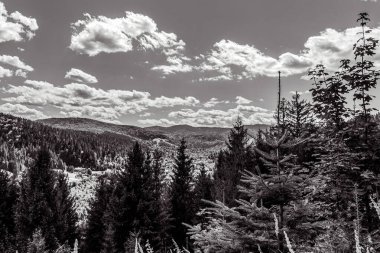 Karpatlar 'daki dağ manzarası.