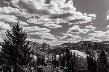 a vertical shot of the mountains under a cloudy sky
