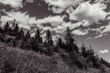 black and white photo of a mountain landscape with a cloudy sky. the black mountains in the carcasian region.
