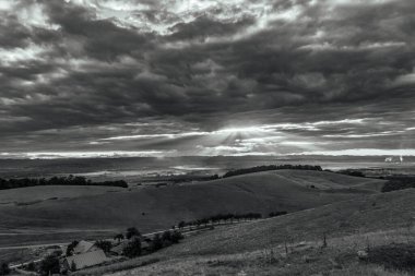 Ağacı ve dağı olan güzel bir manzara.