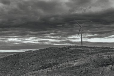 central eléctrica de viento en el campo