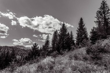 a grayscale shot of a mountain in a cloudy sky
