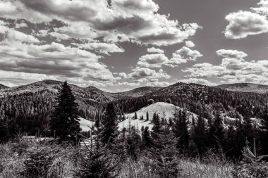 beautiful mountain landscape with a forest and mountains