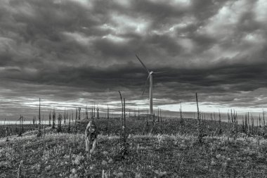 siyah ve beyaz bulutlar