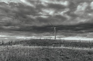 Tarlada rüzgar türbinleri