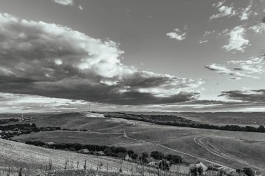 Peyzaj, Orman, Karpatlar, Doğa Fotoğrafları - Avrupa, Doğu Avrupa