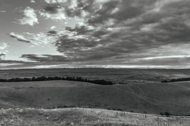 landscape with the fields