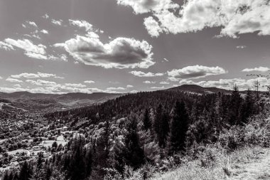 Ağaçlar ve dağlarla dolu güzel bir dağ manzarası