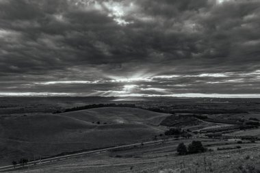 Ağaçlarla dolu bir tarlası ve bulutlu bir gökyüzü olan güzel bir manzara.