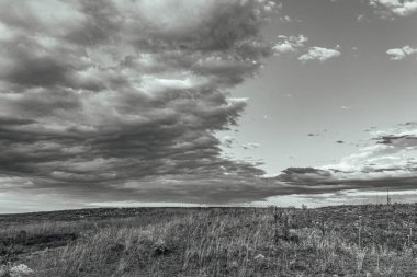 Bulutlu bir gökyüzünün altındaki bir tarlanın gri tonlu görüntüsü
