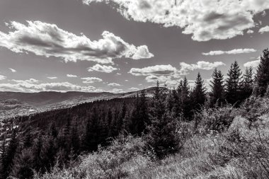 Peyzaj, Orman, Karpatlar, Doğa Fotoğrafları - Avrupa, Doğu Avrupa