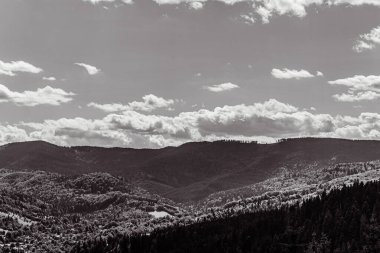 the mountains of the ukrainian carpathians in the morning. black and white.