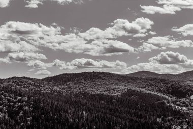 a vertical shot of the mountains with trees under the cloudy sky in black and white