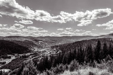 Ormanda siyah beyaz bulutlar