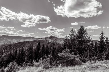 Arkasında bir dağ olan güzel bir manzara.