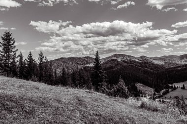Colorado 'daki siyah ve beyaz dağ manzarası