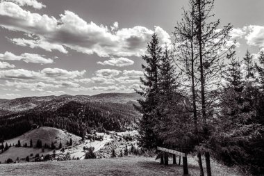 black mountains in the carpathians in summer. the forest on the slopes are visible.