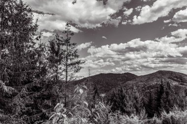 beautiful landscape from a mountain in the carpathians in the carpathians