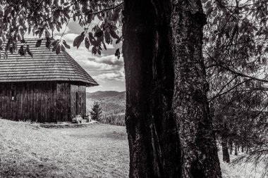 wooden house on the hill, black and white