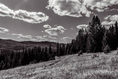 Dağların güzel manzarası