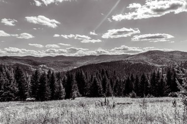 the black and white photo of the mountain in the carpathians