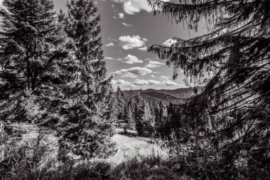 Dağlarda dağları olan güzel bir manzara.