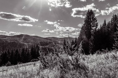 black and white photo of the mountain landscape with a beautiful view
