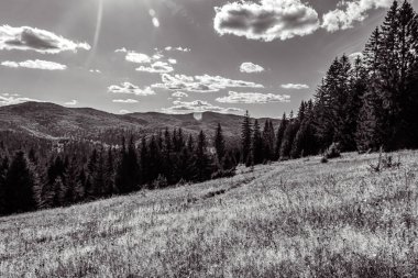 Dağları ve ağaçları olan güzel bir manzara.