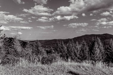 a beautiful view of the mountains of the carpathian, in the forest, in a cloudy day. the concept of tourism and hiking.
