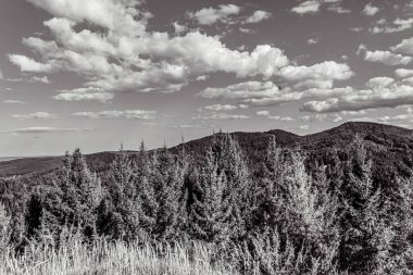 black and white clouds over the forest of mount elels in summer