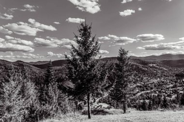 Dağları ve ormanı olan güzel bir manzara.