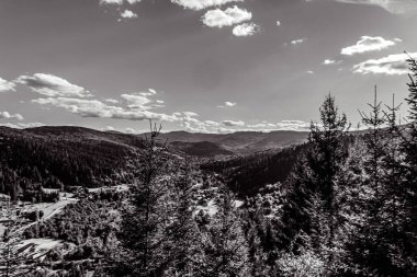 a vertical shot of rocky mountains in the daytime