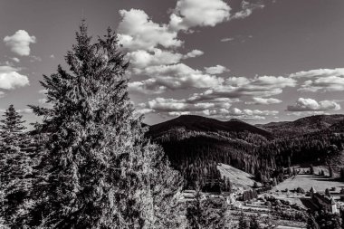 view of the carpathian mountains in the autumn