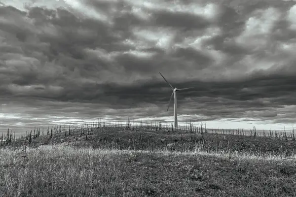 Tarlada rüzgar türbinleri