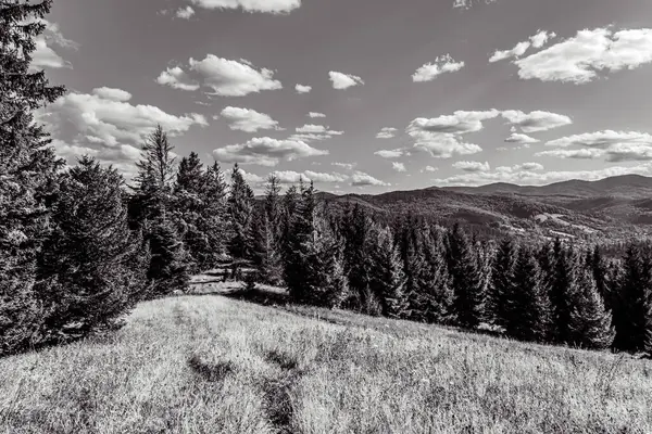 Peyzaj, Orman, Karpatlar, Doğa Fotoğrafları - Avrupa, Doğu Avrupa