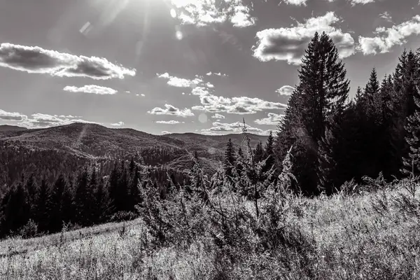 black and white photo of the mountain landscape with a beautiful view