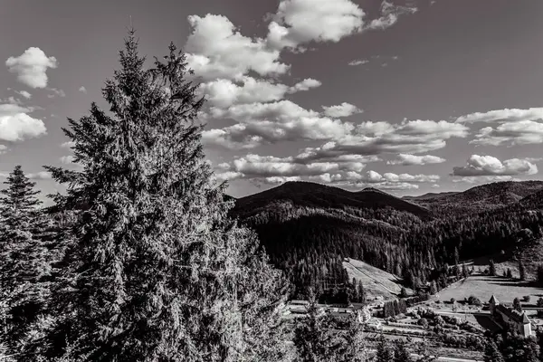 view of the carpathian mountains in the autumn