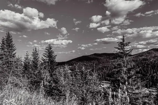 Karpat dağlarının güzelliği